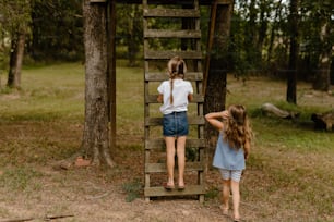 two young girls climbing a wooden ladder in the woods