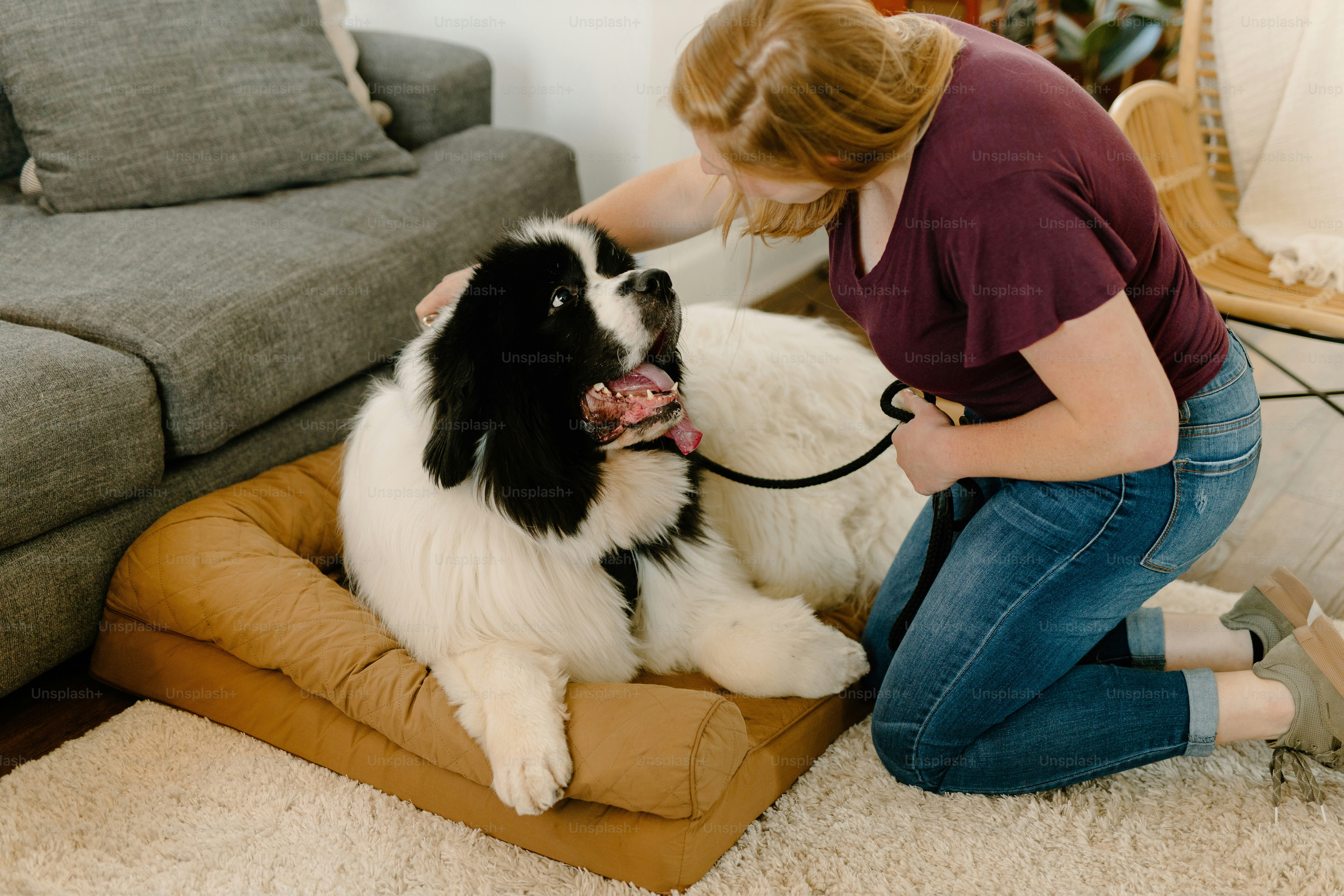 a woman kneeling down next to a black and white dog