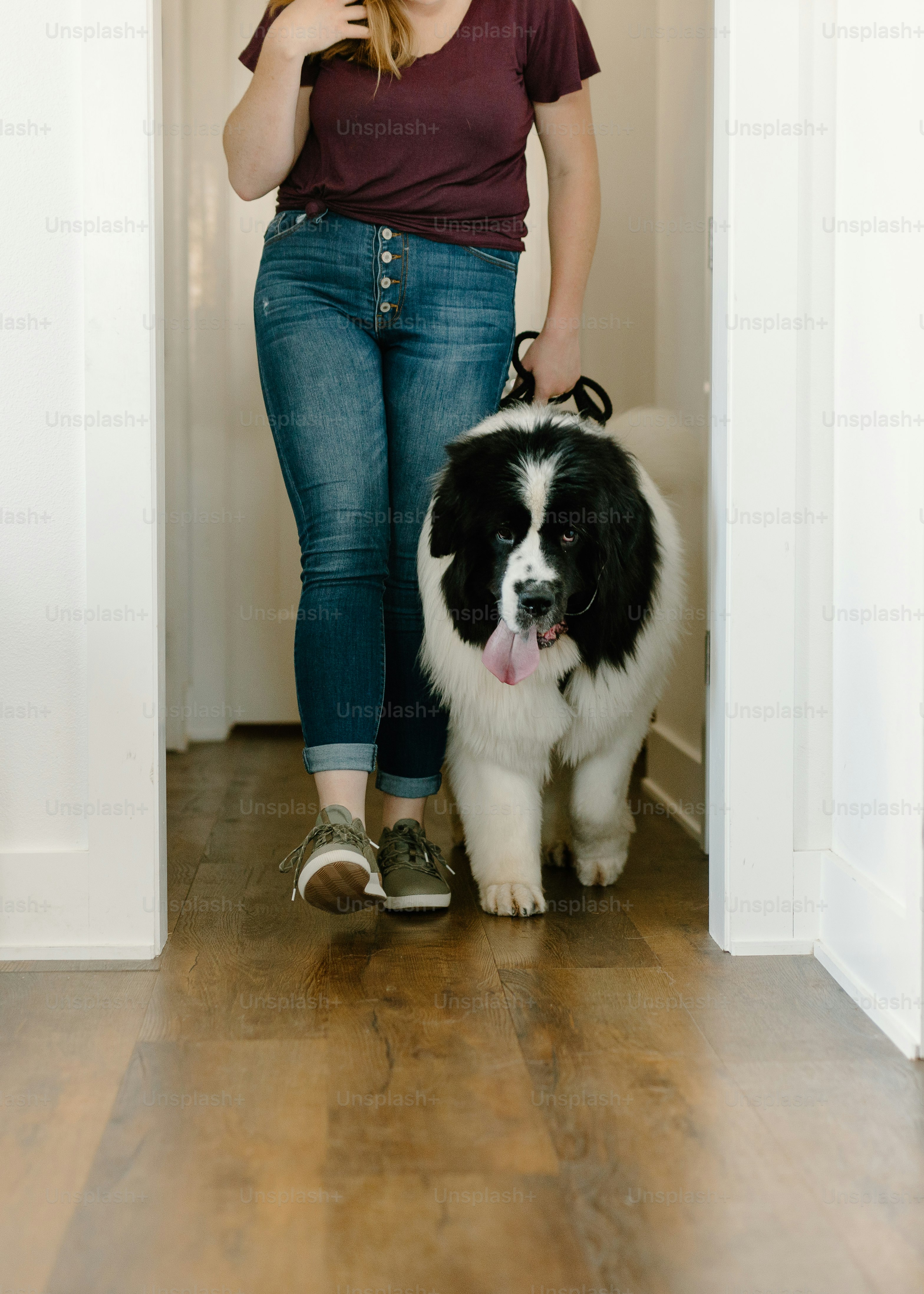 a woman walking a black and white dog on a leash