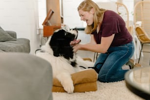 Une femme caressant un chien noir et blanc sur le sol