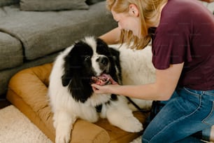 a woman petting a large black and white dog