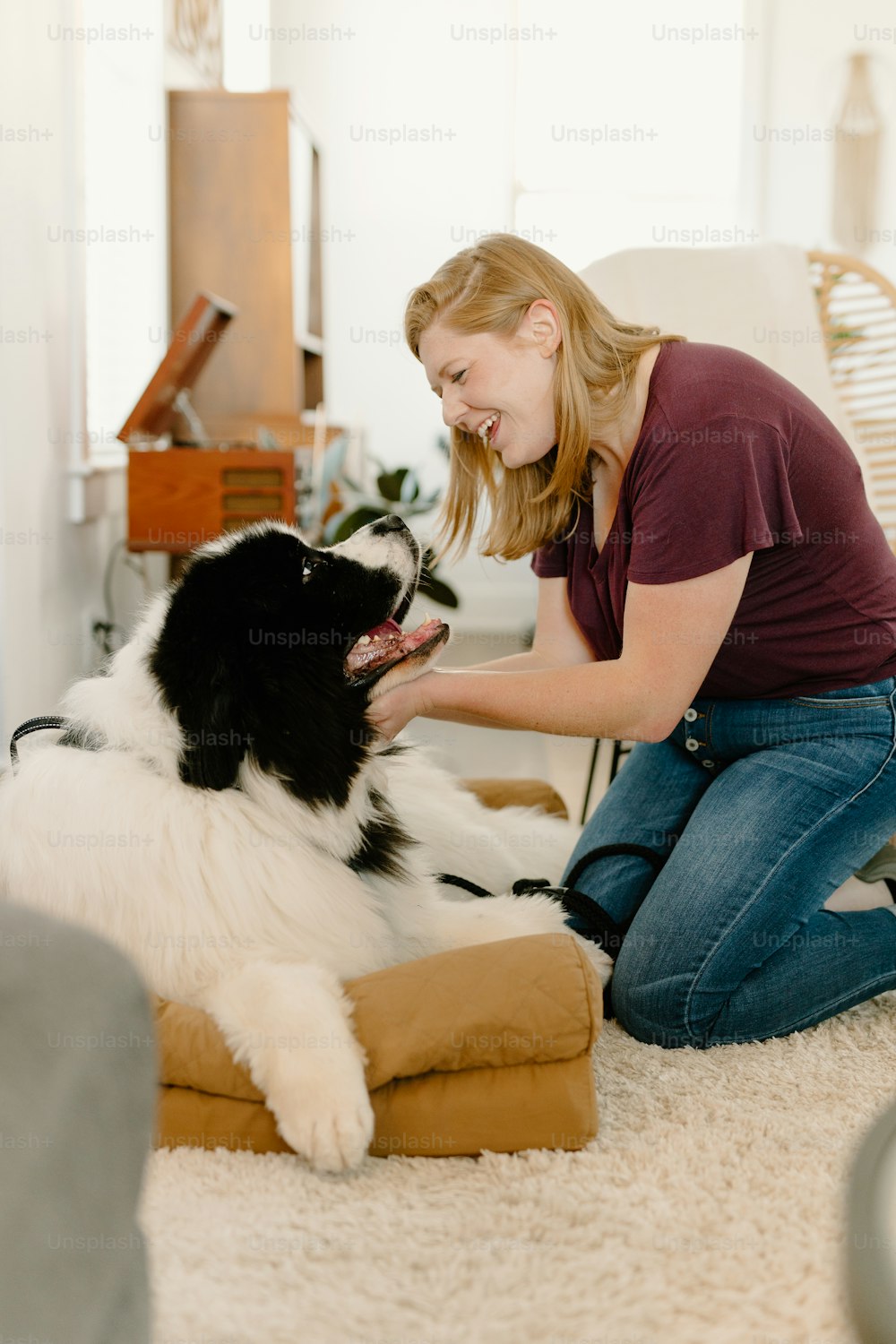 a woman kneeling down petting a black and white dog