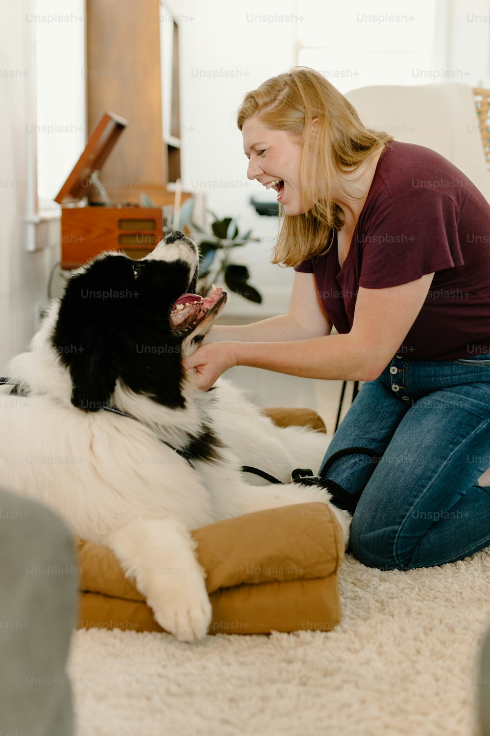床で黒と白の犬を撫でる女性