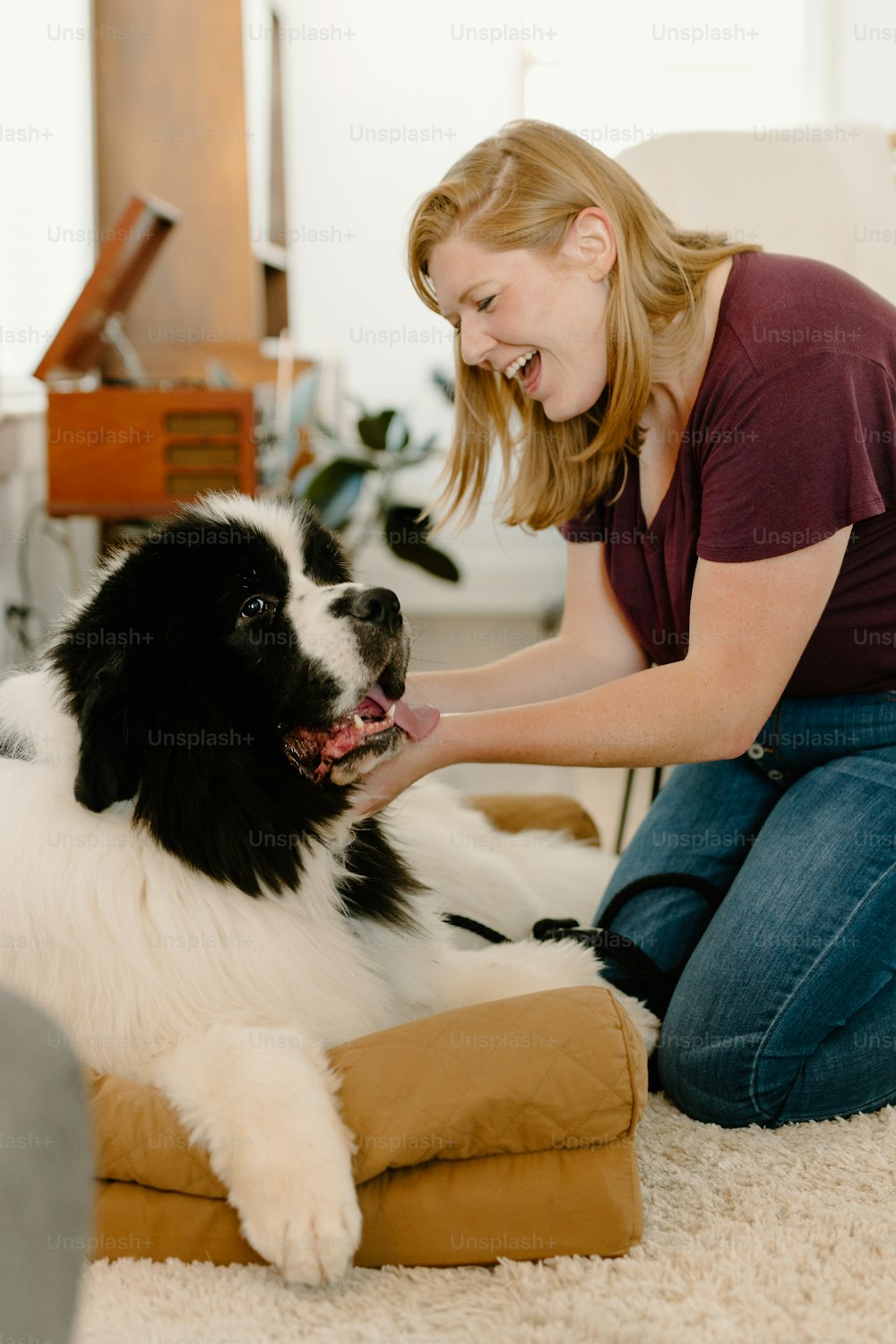 uma mulher acariciando um grande cão preto e branco