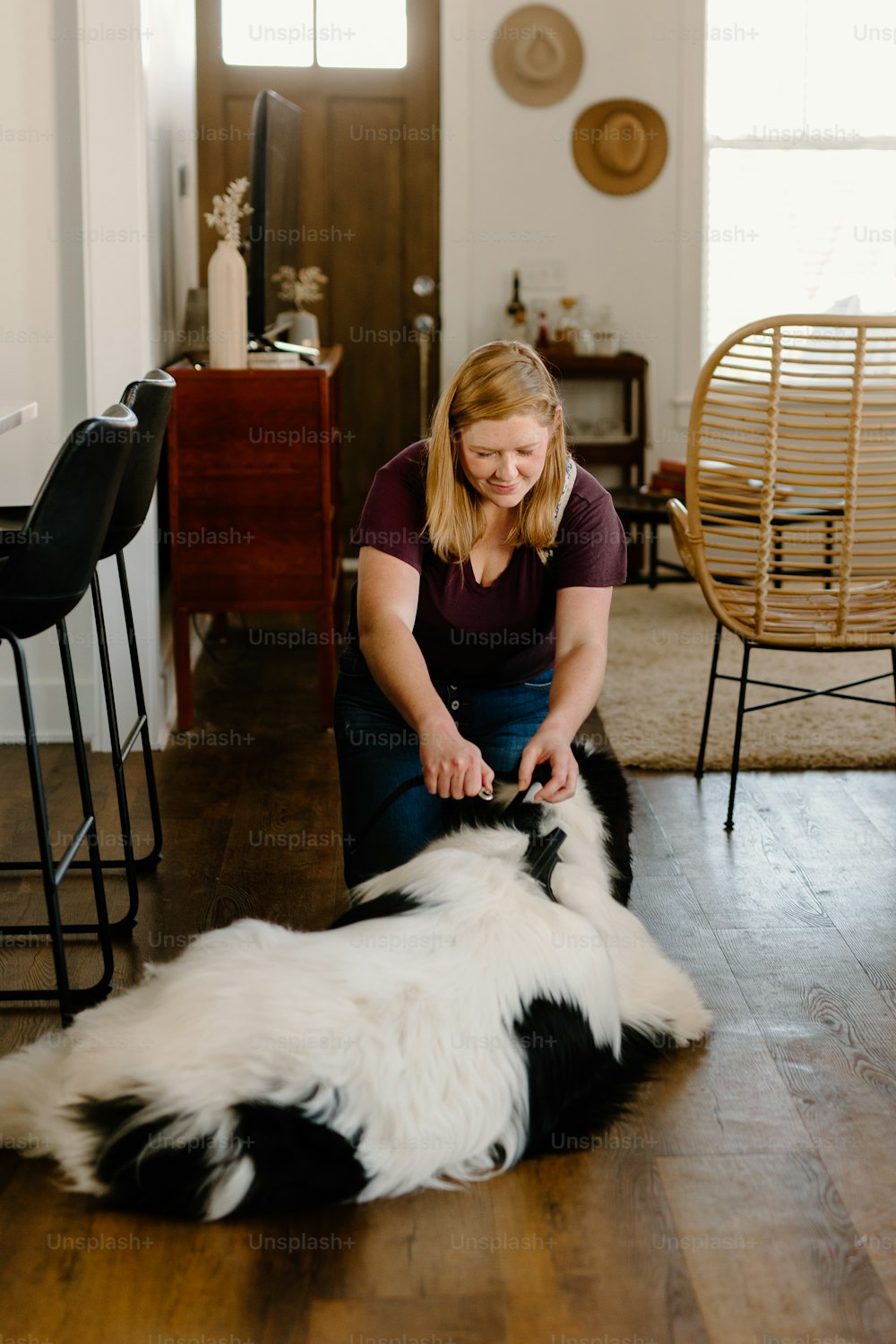 a woman sitting on the floor petting a black and white dog