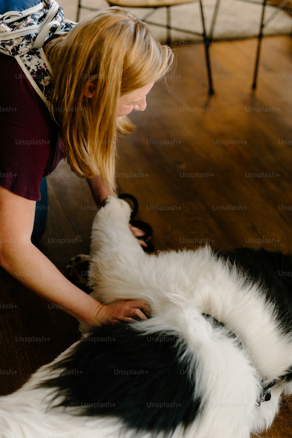 a woman petting a black and white dog on the floor