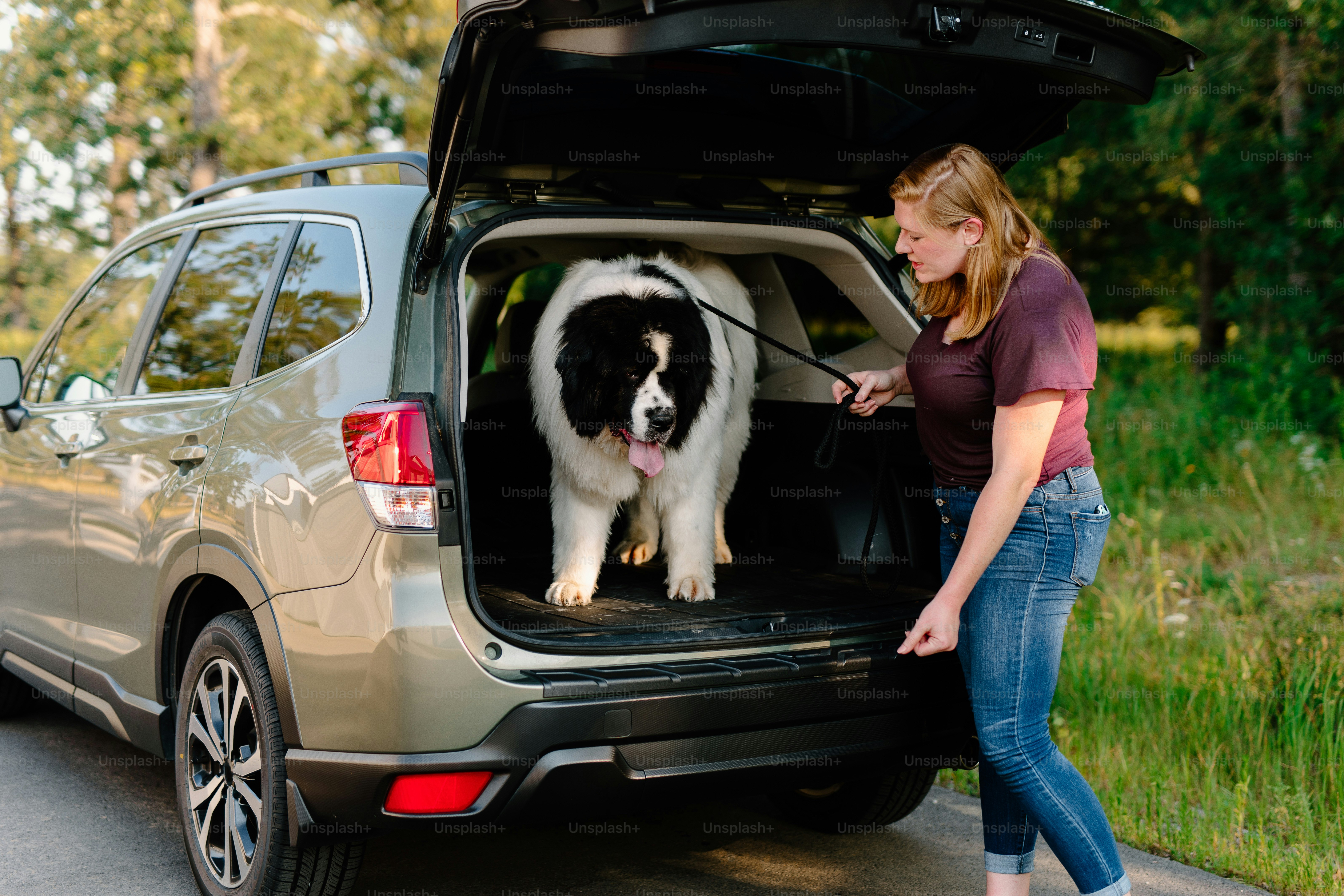 a woman standing next to a dog in the back of a car