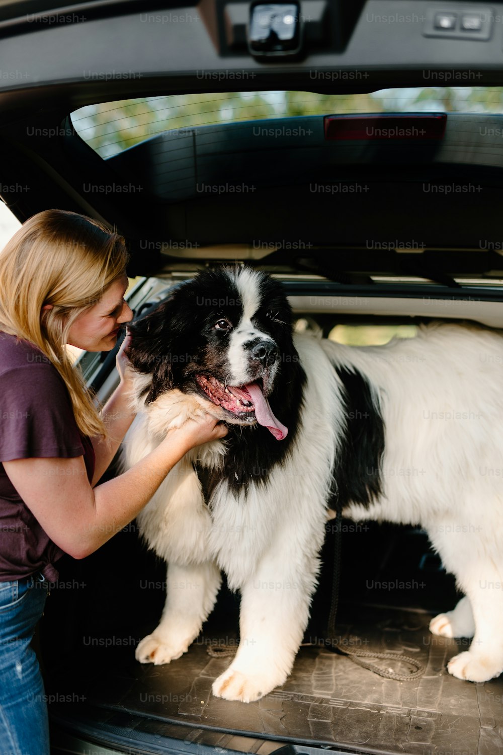 a woman petting a dog in the back of a car