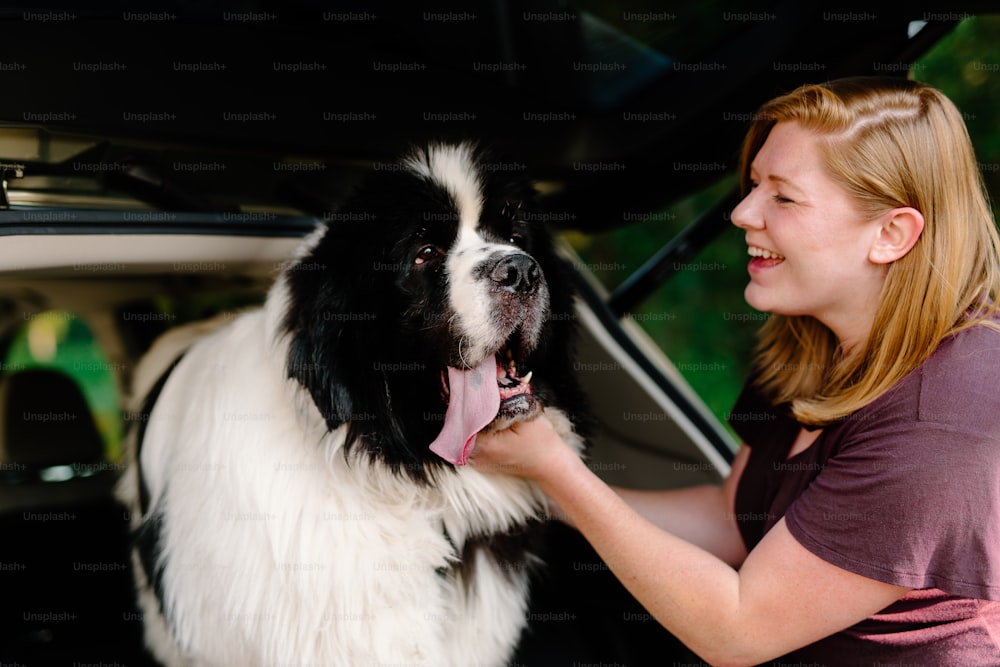 a woman petting a large black and white dog