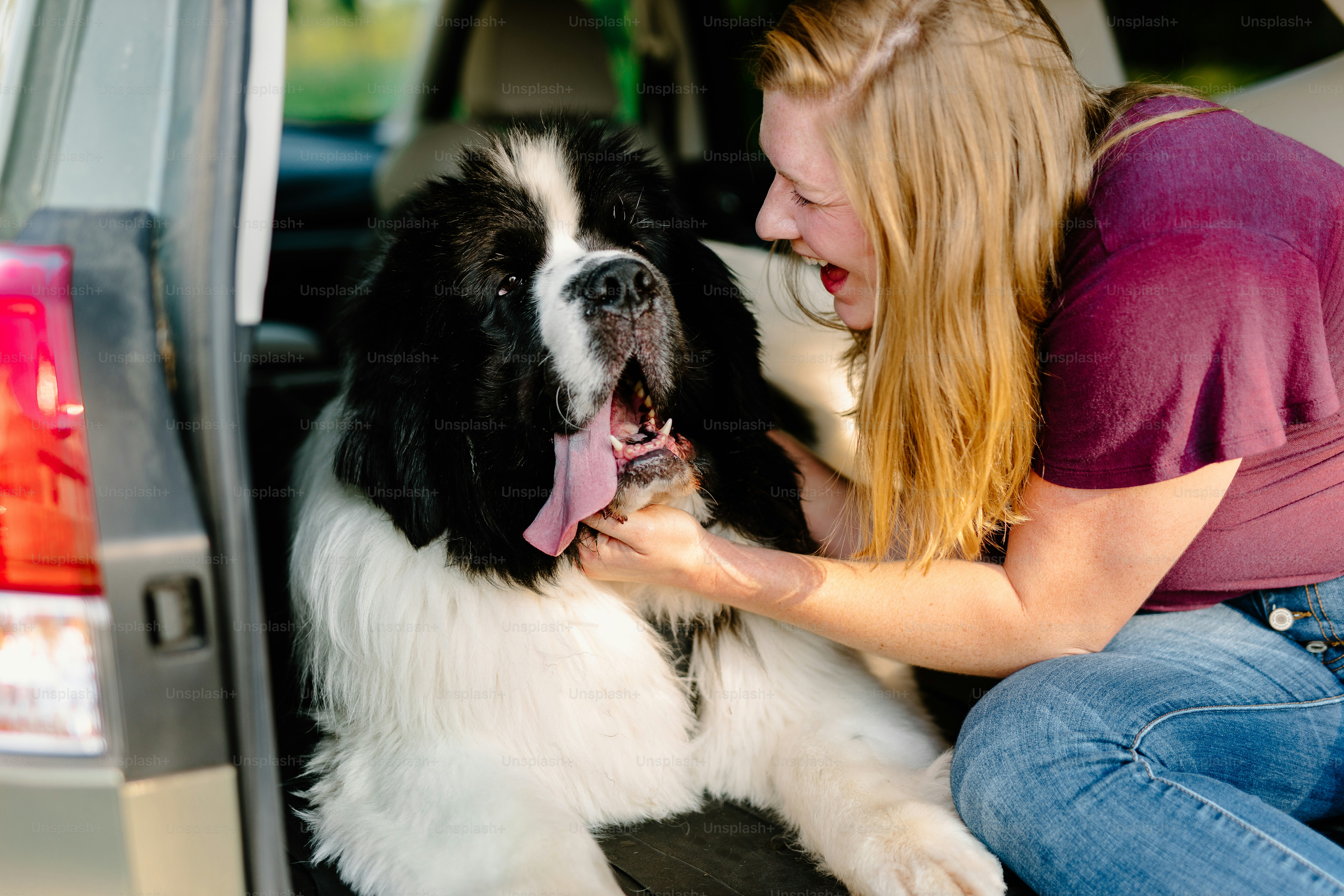 a woman petting a large black and white dog