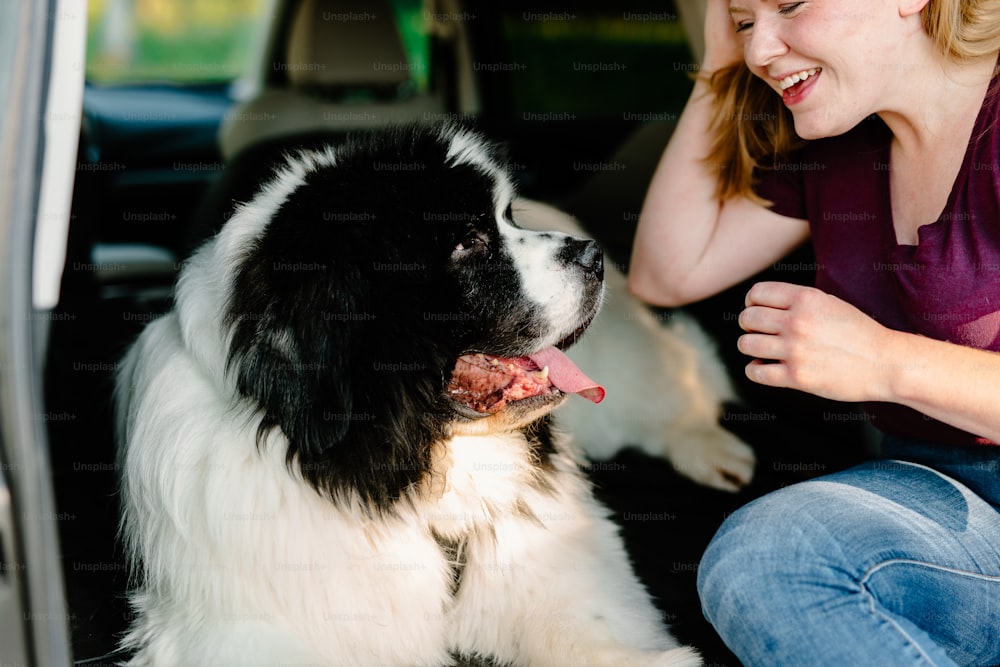uma mulher sentada no banco de trás de um carro com um cachorro