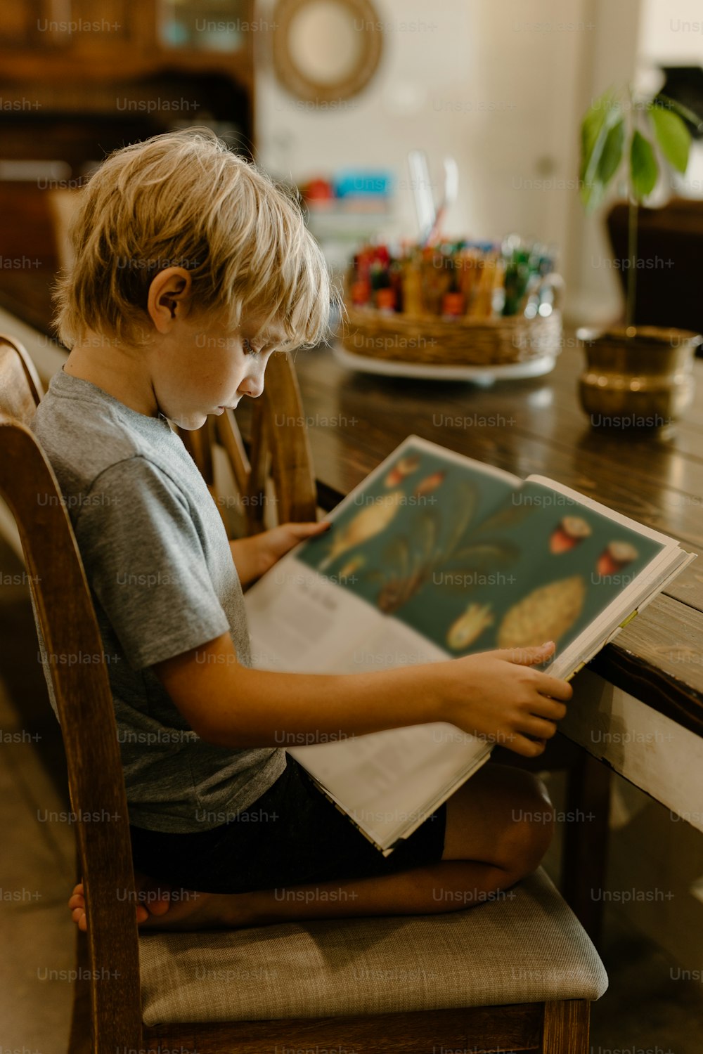 30,000+ Kids Book Pictures  Download Free Images on Unsplash