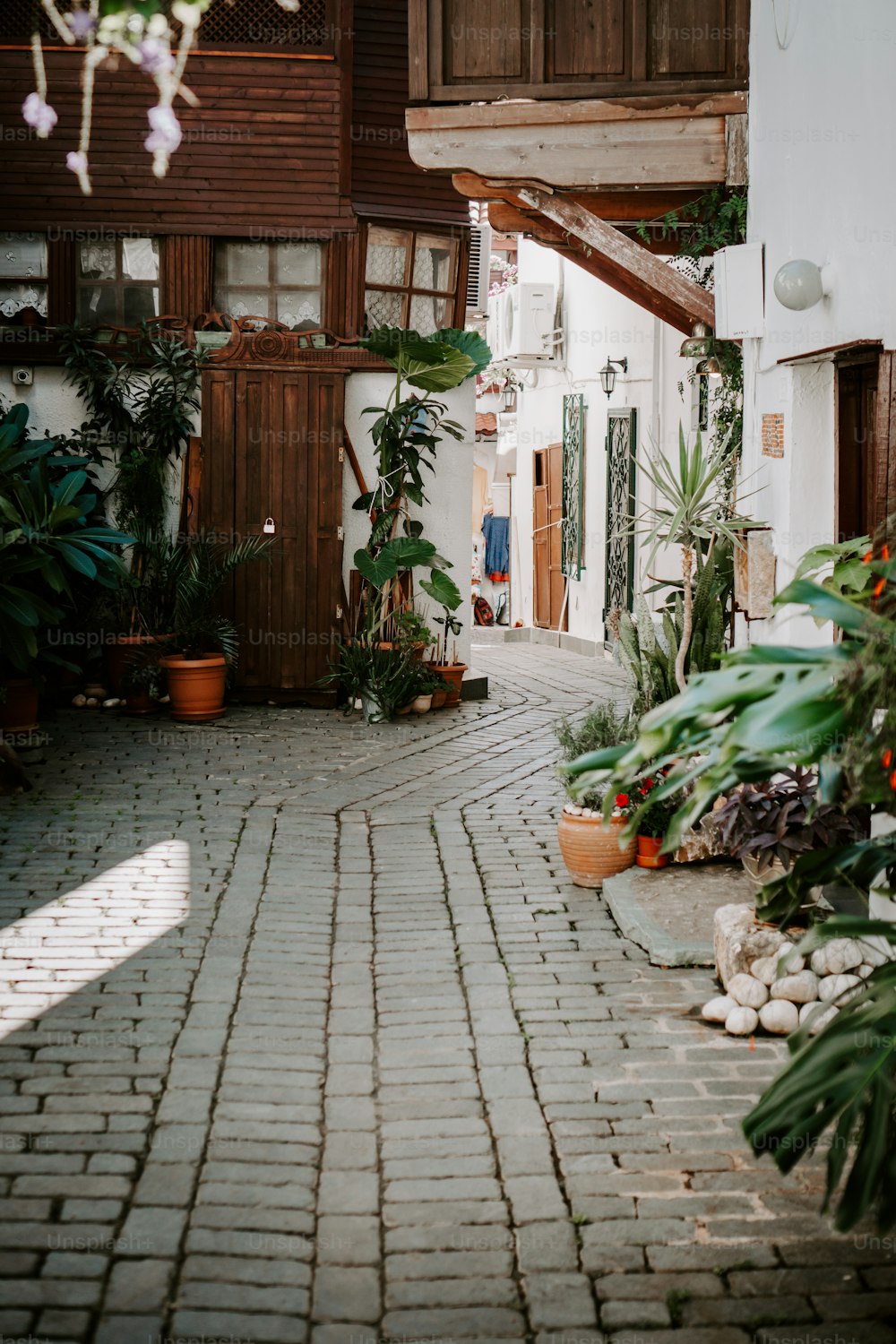 a cobblestone street with potted plants on either side