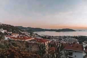 a view of a city and a body of water