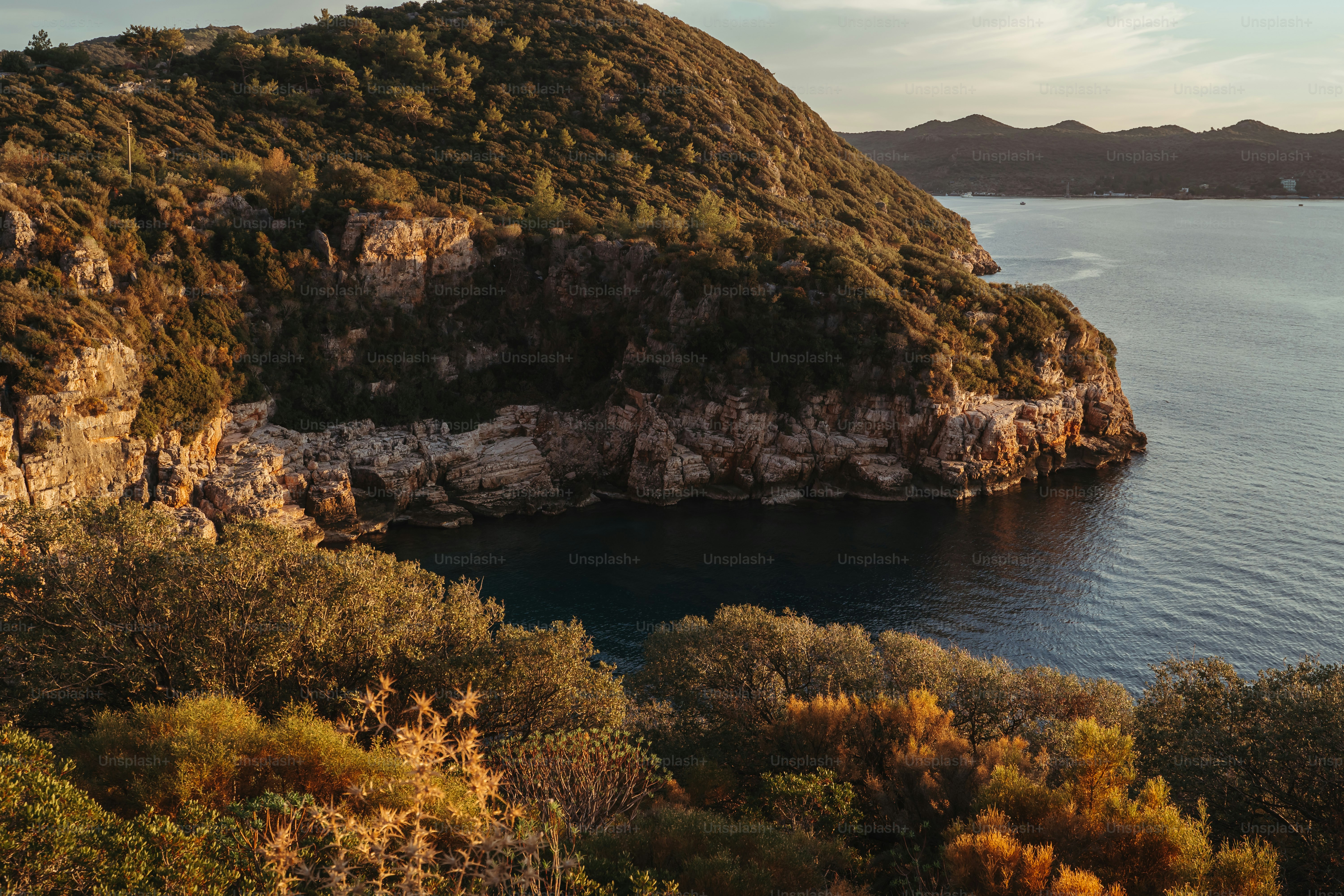 a large body of water surrounded by trees