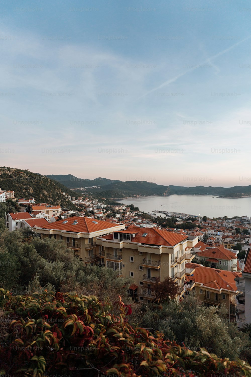 a view of a city and a body of water