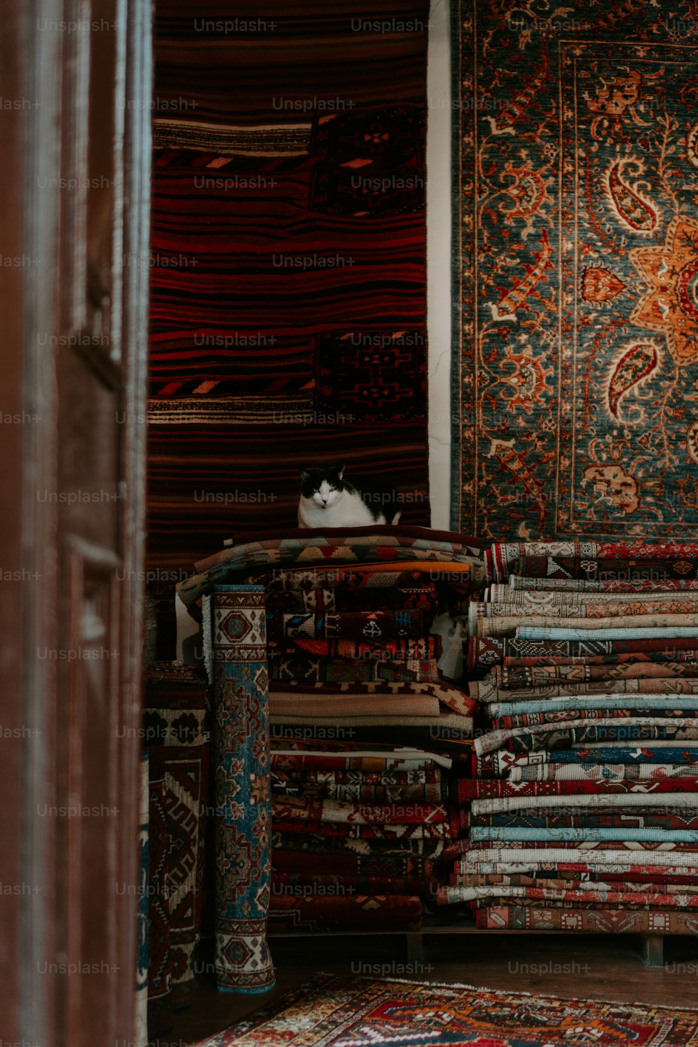 une pièce remplie de beaucoup de tapis et un chat allongé sur un