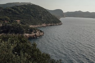 a body of water surrounded by mountains and trees