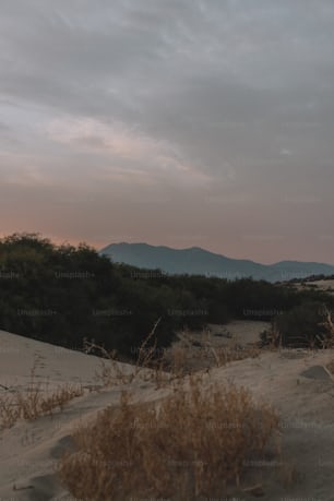 a view of a mountain range from a sand dune
