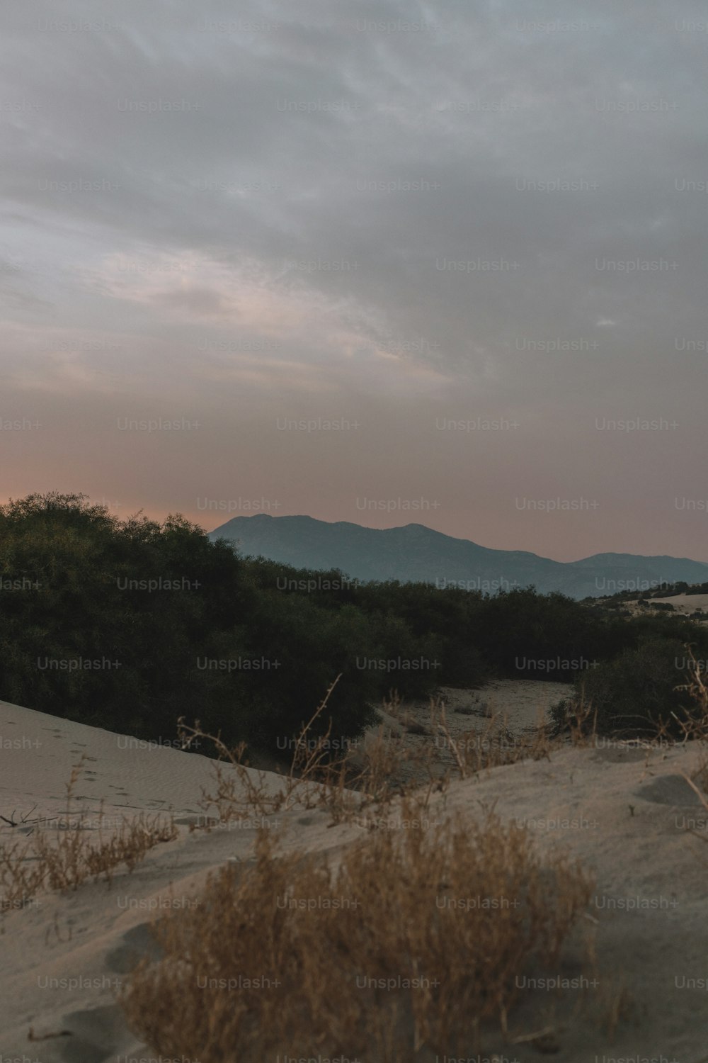 a view of a mountain range from a sand dune