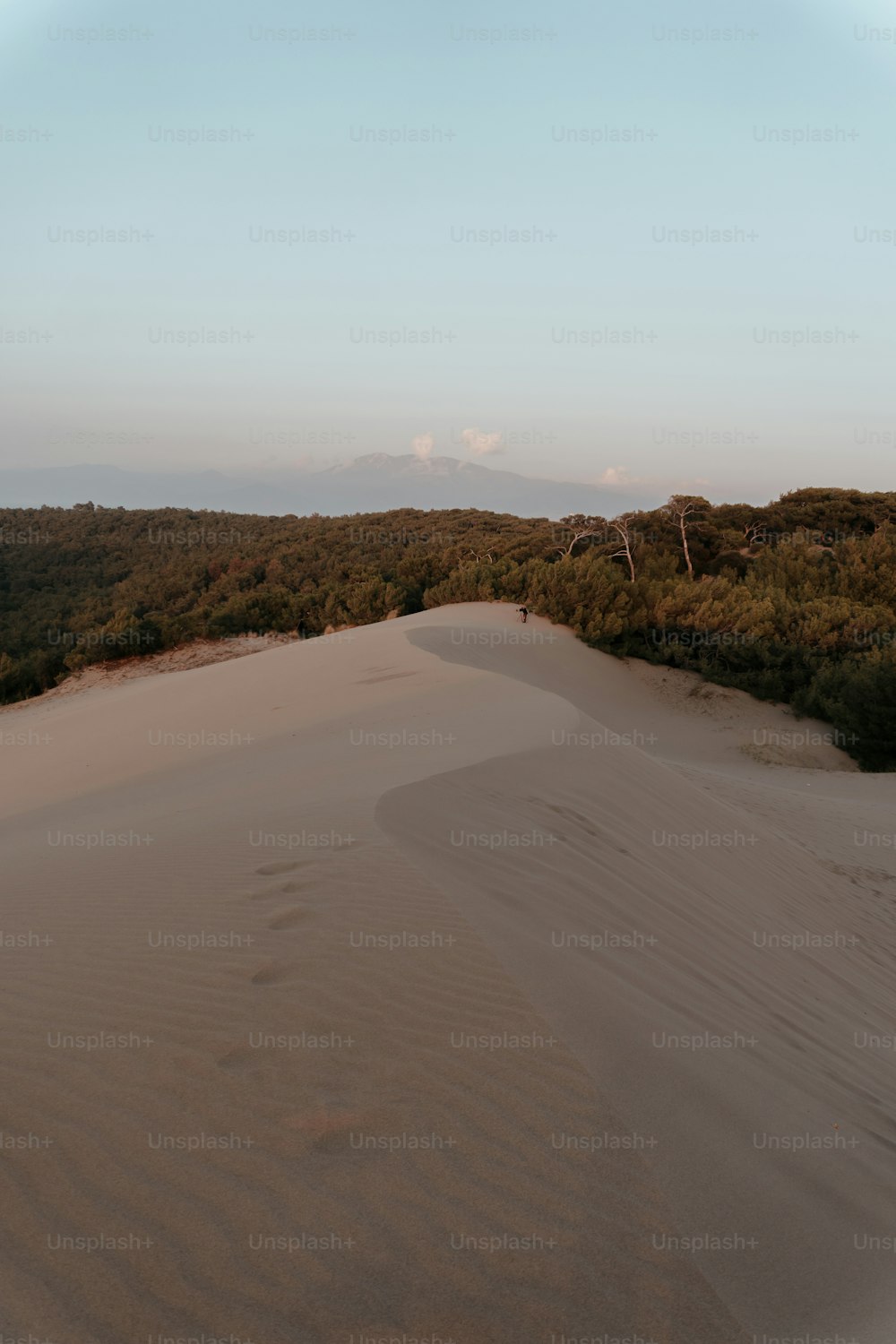 a large sand dune with trees in the background