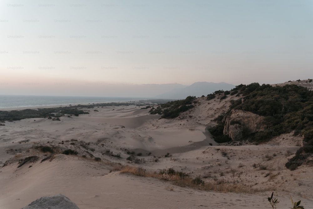 a sandy area with trees and mountains in the background