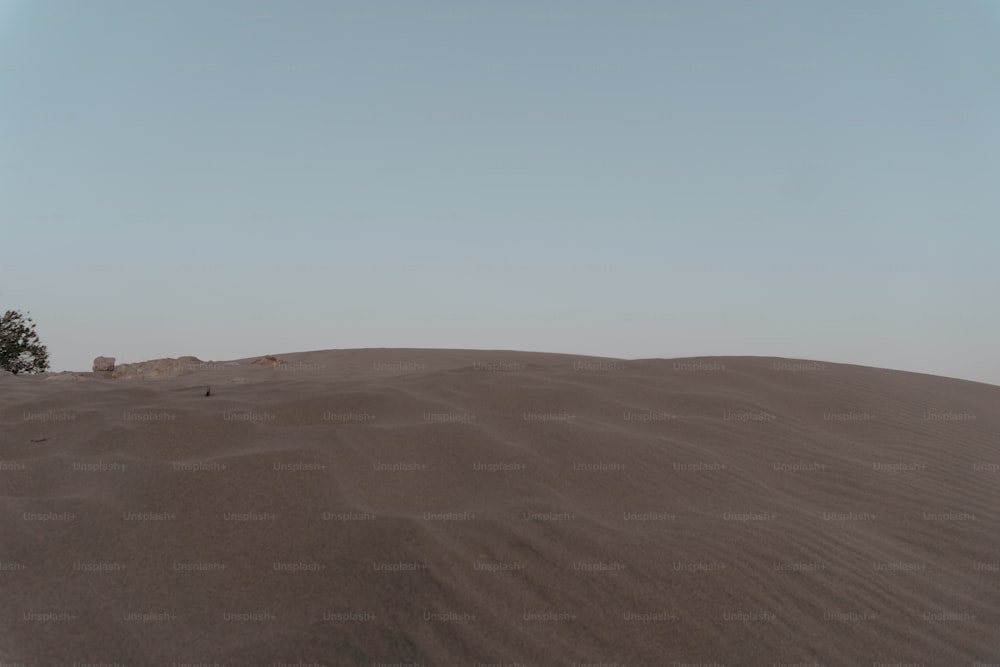 a lone tree in the middle of a desert