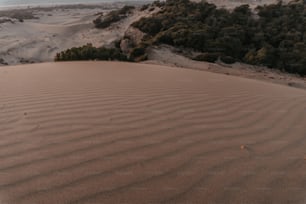 a sand dune with trees in the background