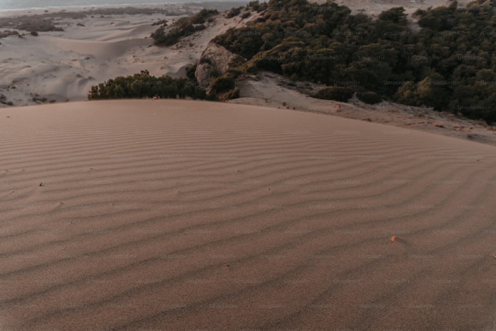 a sand dune with trees in the background