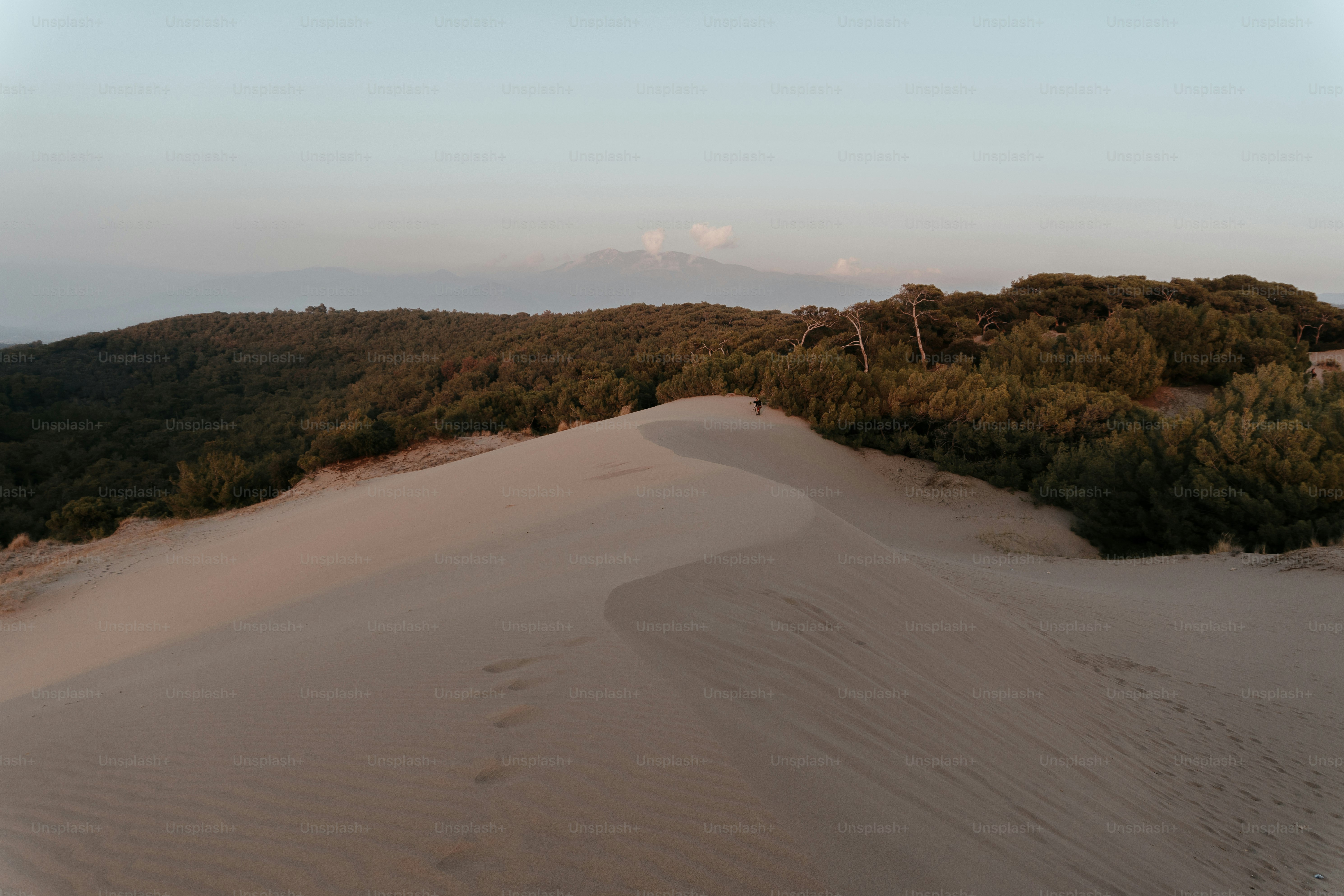 a hill covered in trees and sand with a sky background