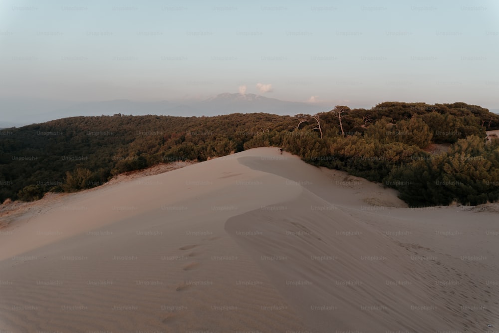 a hill covered in trees and sand with a sky background