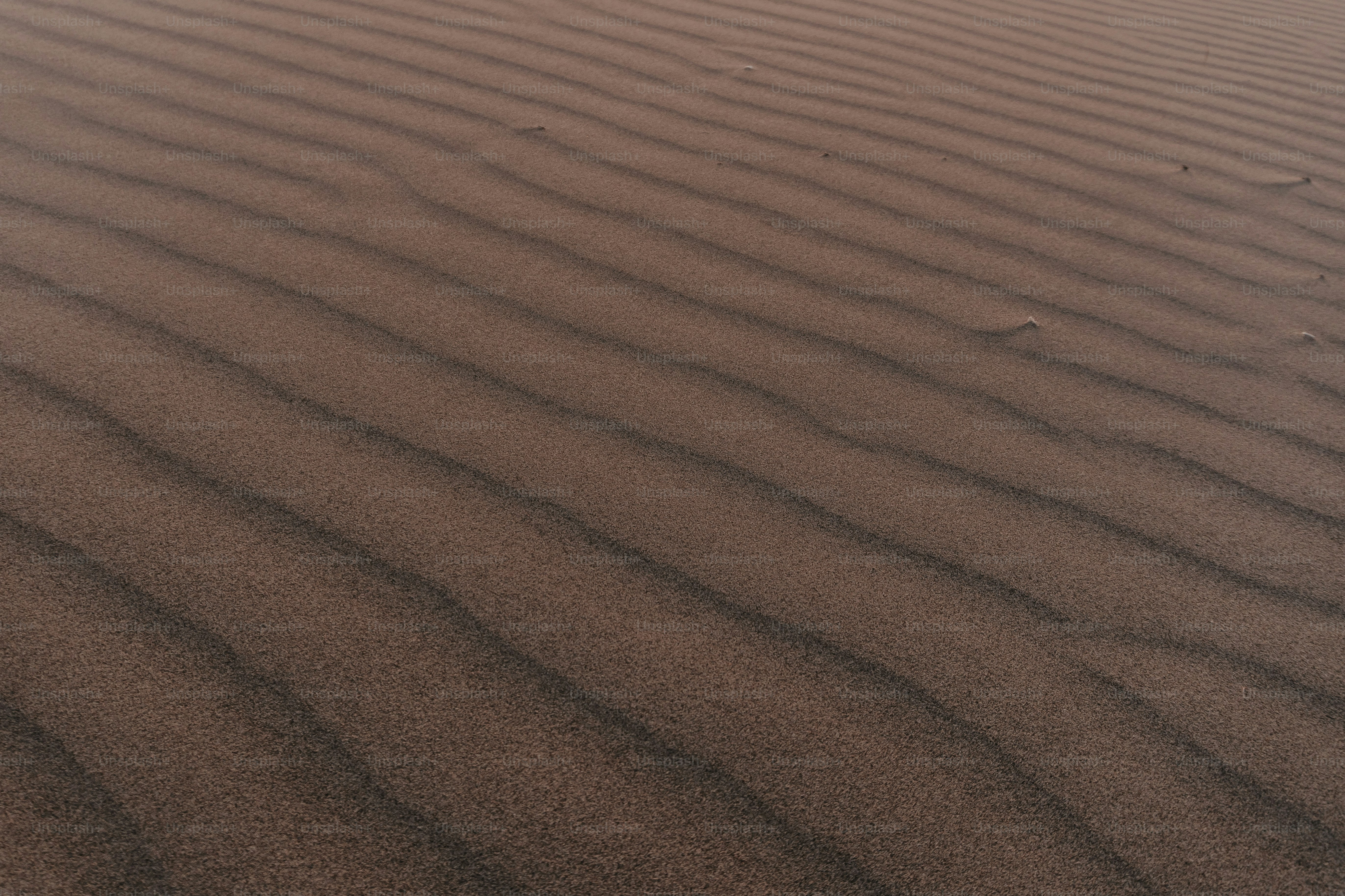 a sand dune with a small patch of grass in the middle of it