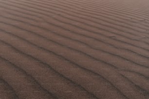eine Sanddüne mit einem kleinen Stück Gras in der Mitte