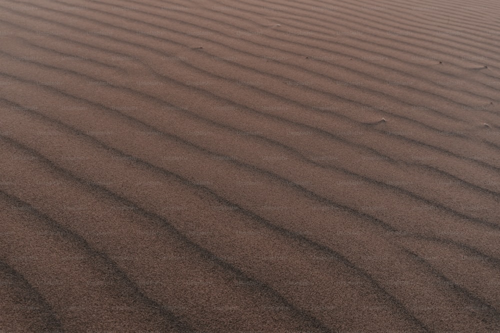 una duna di sabbia con una piccola macchia d'erba nel mezzo di essa
