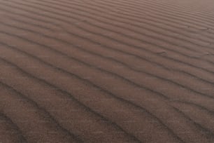 a sand dune with a small patch of grass in the middle of it