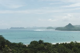 a large body of water surrounded by trees