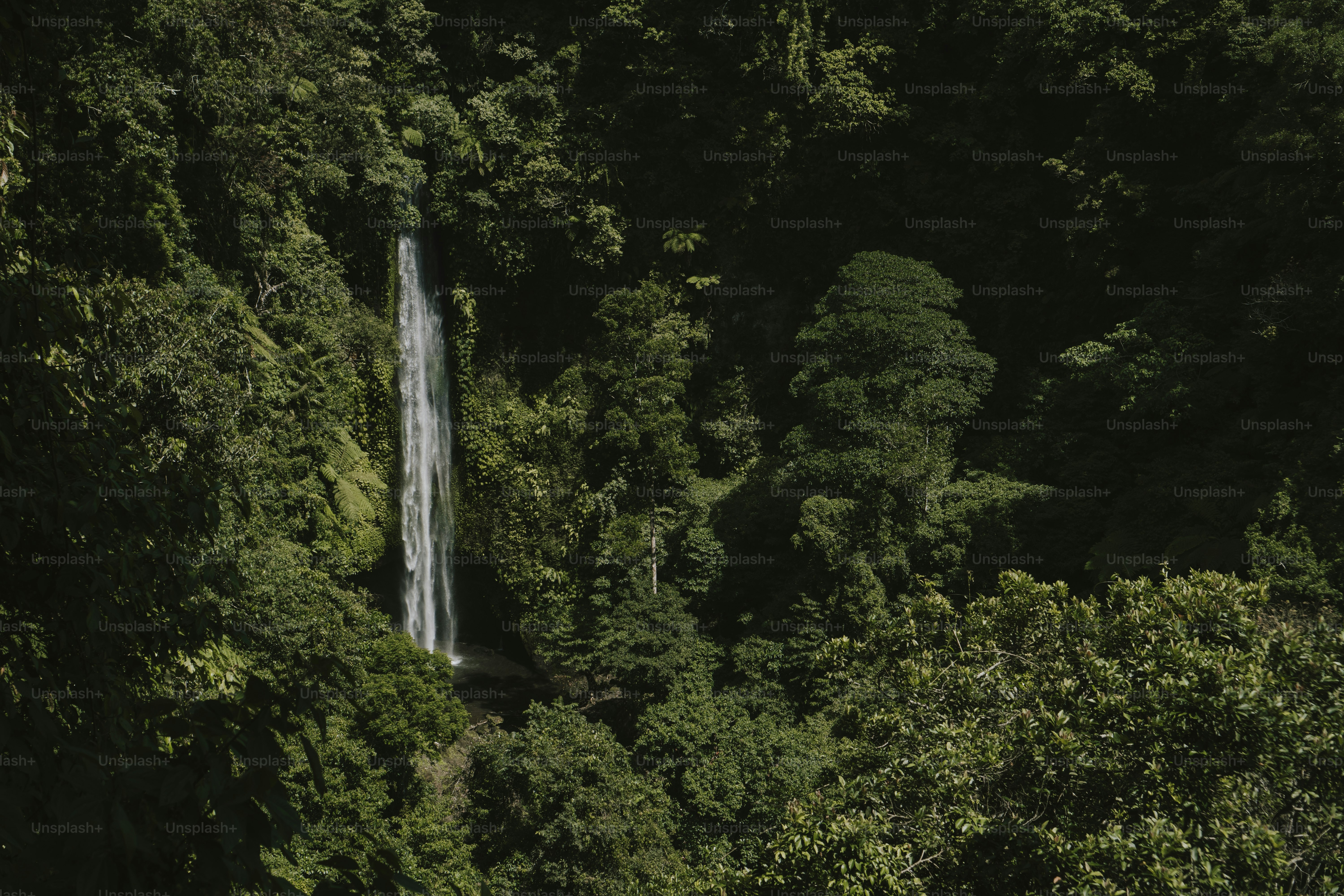 a waterfall in the middle of a forest