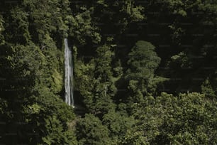 a waterfall in the middle of a forest