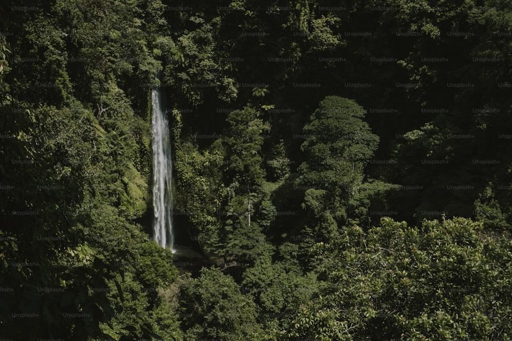 a waterfall in the middle of a forest