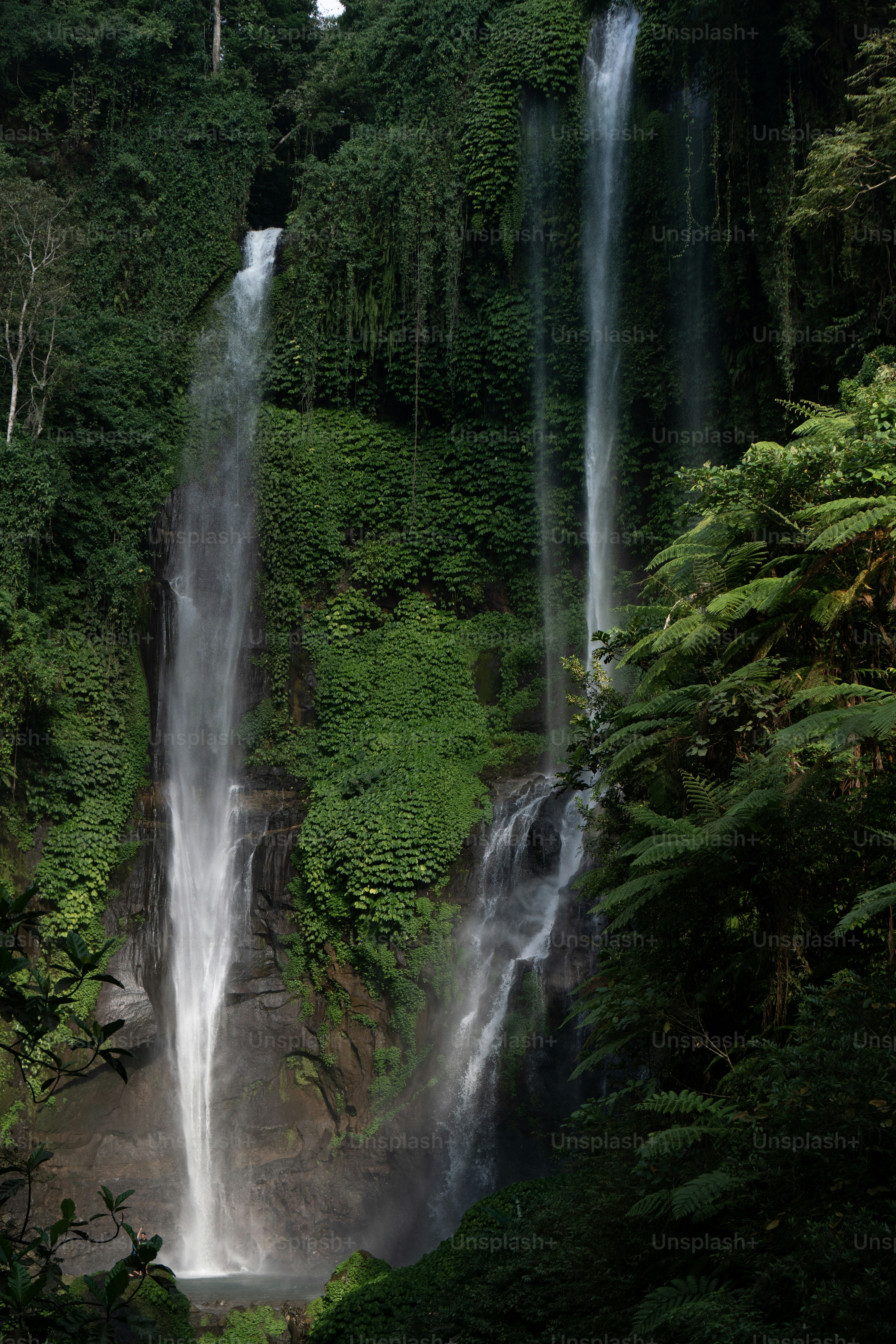 Una gran cascada en medio de un bosque