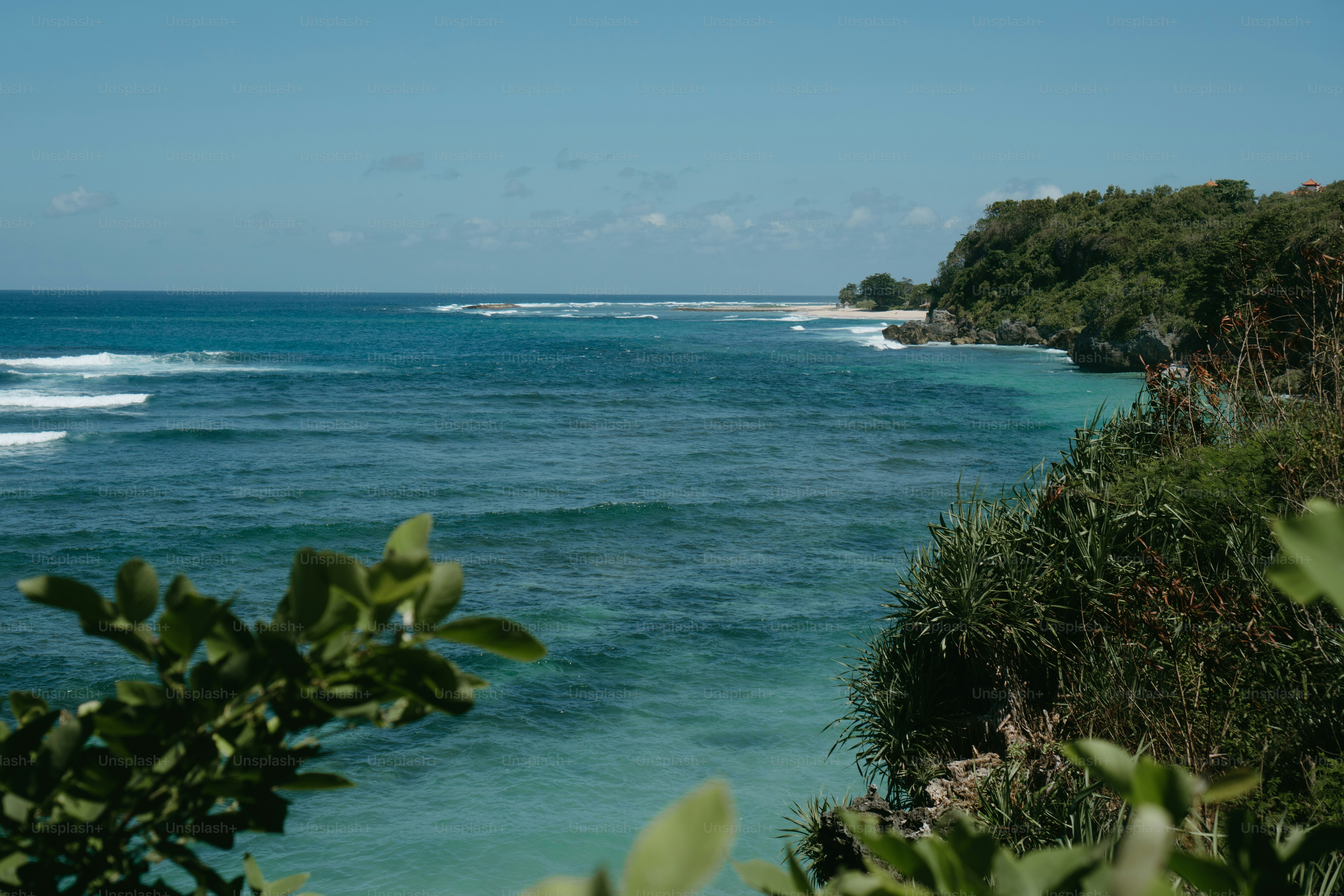 a body of water surrounded by trees and bushes