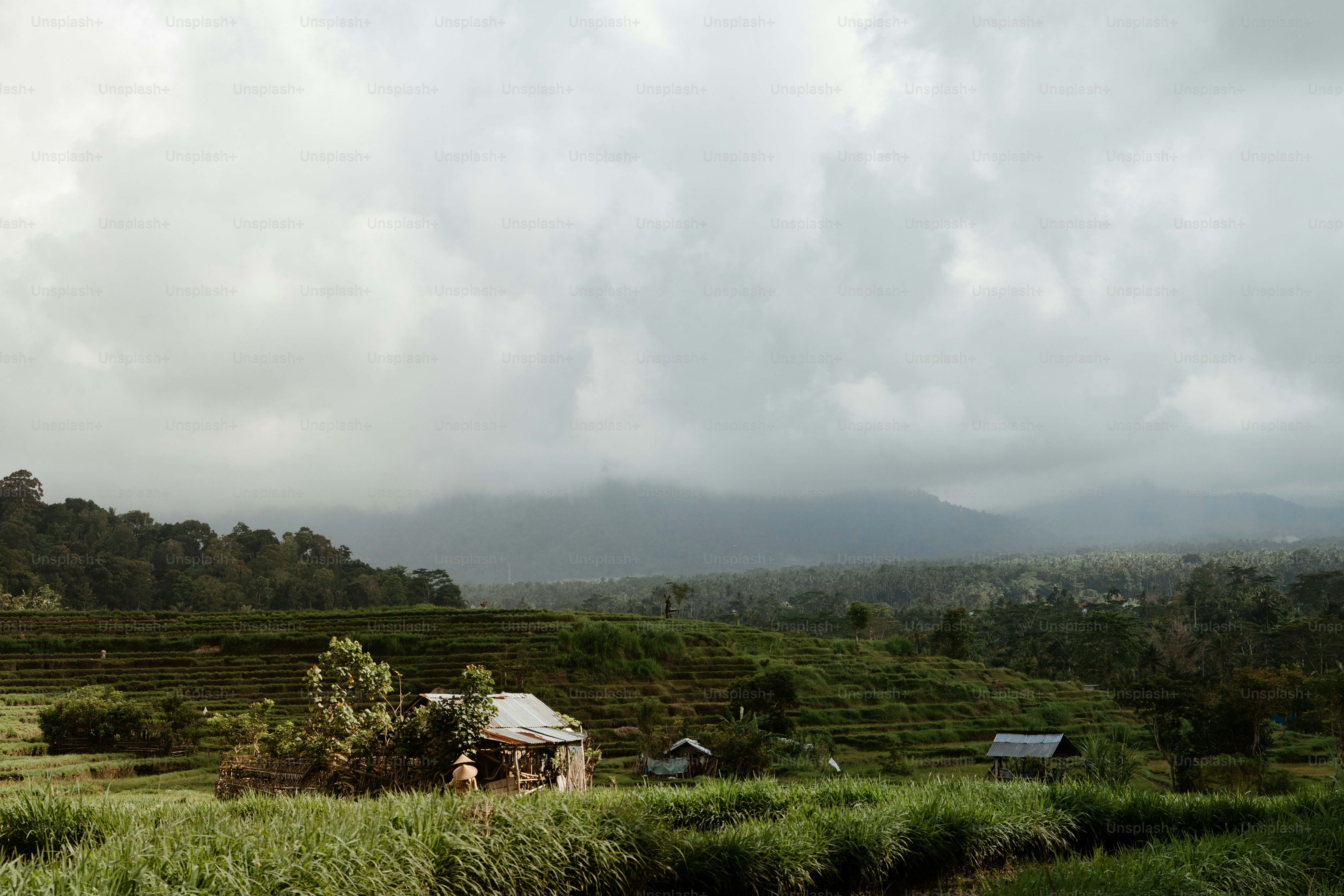 Una piccola capanna in un campo con le montagne sullo sfondo
