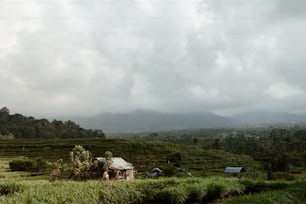 a small hut in a field with mountains in the background