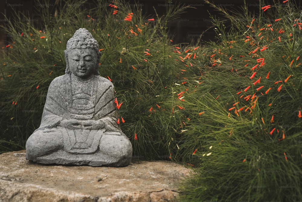 Une statue de Bouddha assise au sommet d’un rocher