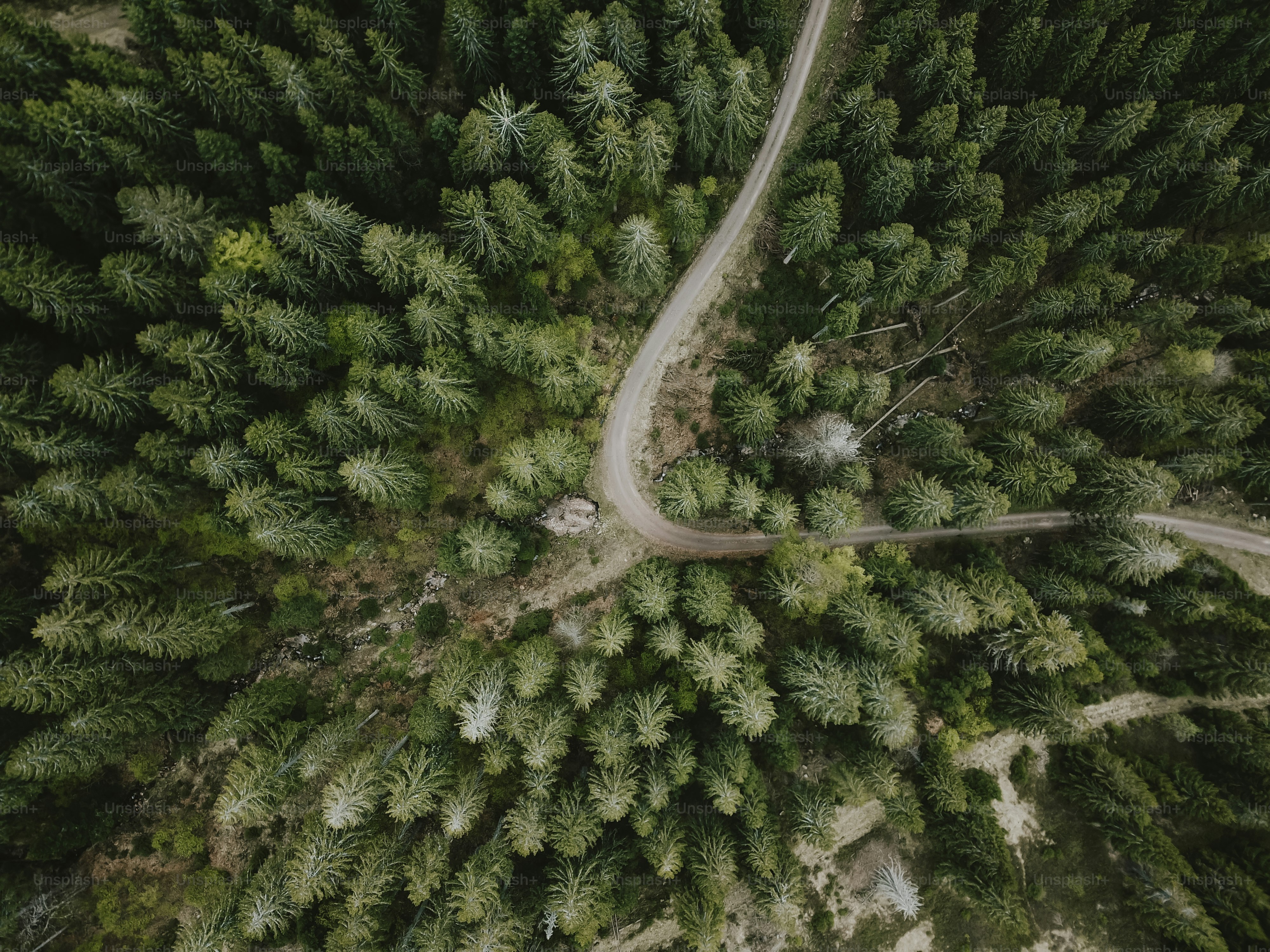 an aerial view of a road in the middle of a forest