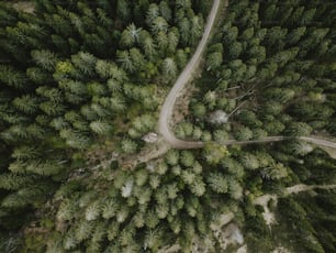 an aerial view of a road in the middle of a forest