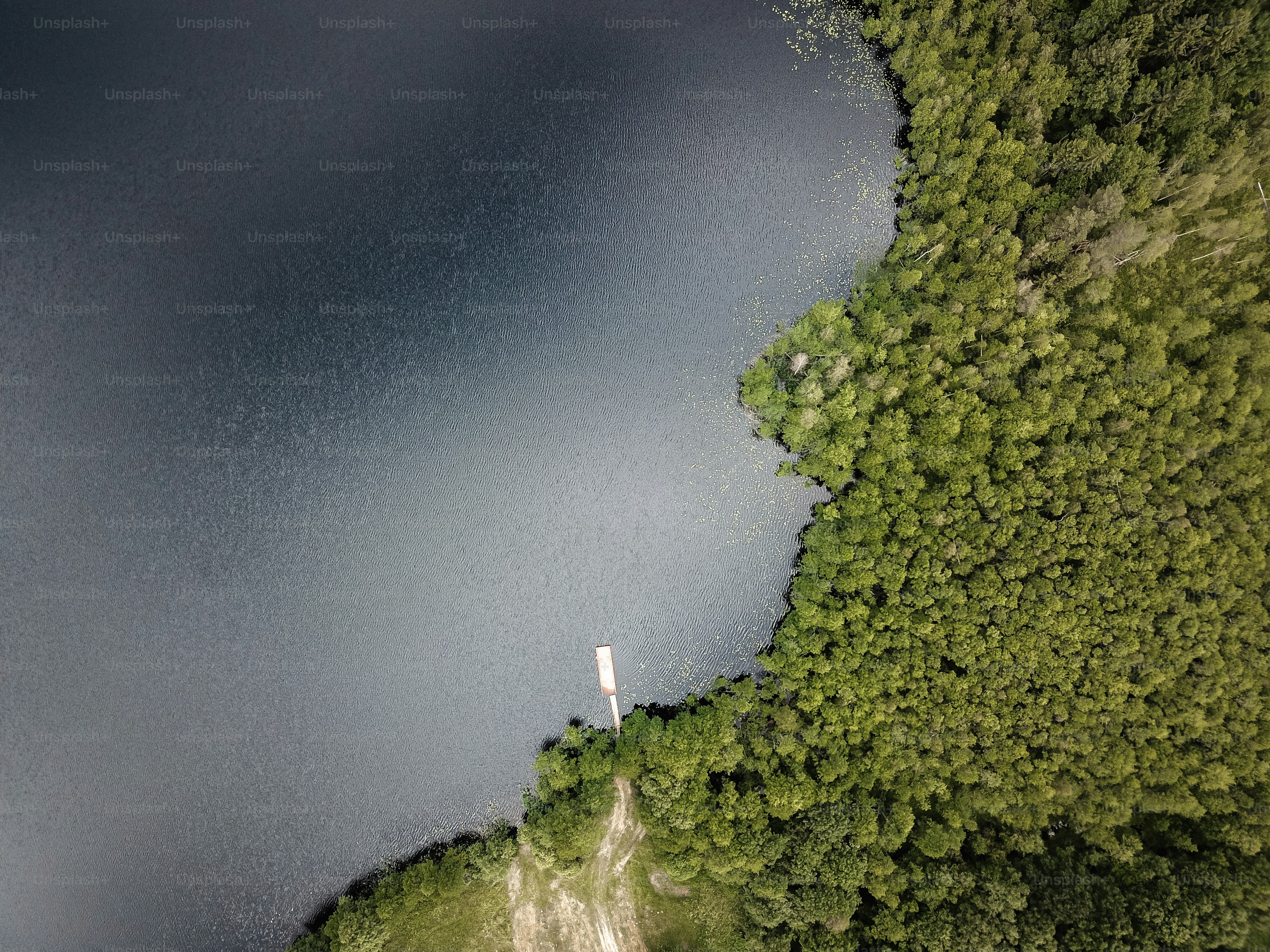 a large body of water surrounded by trees