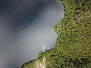 a large body of water surrounded by trees