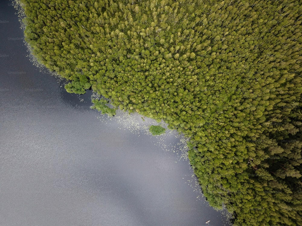 an aerial view of a body of water surrounded by trees