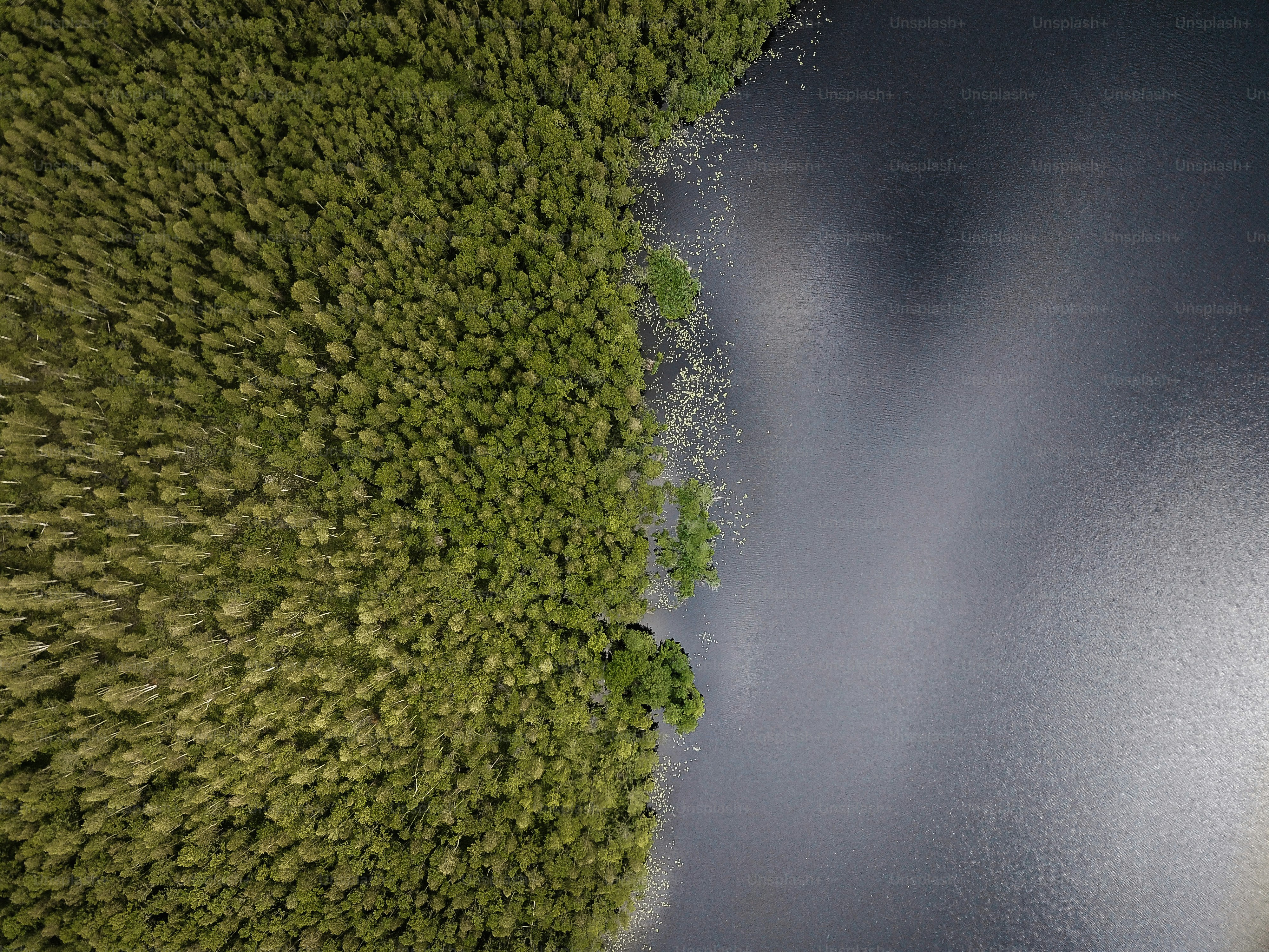 an aerial view of a body of water surrounded by trees